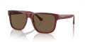 Emporio Armani EA4163 Transparent Bordeaux/Dark Brown (507573) Sunglasses - Color Image
