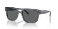 Emporio Armani EA4197 Transparent Grey/Dark Grey (502987) Sunglasses - Color Image
