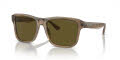 Emporio Armani EA4208 Shiny Green/Top Brown (605573) Sunglasses - Color Image