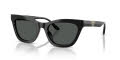 Emporio Armani EA4259U Shiny Black/Dark Grey (501787) Sunglasses - Color Image