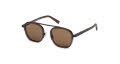 Ermenegildo Zegna EZ0231 Shiny Dark Brown (48E) Sunglasses - Color Image