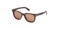 Ermenegildo Zegna EZ0248 Dark Havana (52E) Sunglasses - Color Image