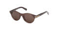 Ermenegildo Zegna EZ0271 Shiny Dark Brown (48E) Sunglasses - Color Image