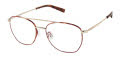 Esprit ET 33406 Havana Eyeglasses - Color Image
