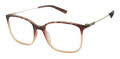 Esprit ET 33449 Havana (545) Eyeglasses - Color Image