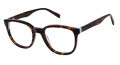 Esprit ET 33514 Havana Eyeglasses - Color Image