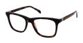 New Balance Kids NBK 189 Tortoise (1) Eyeglasses - Color Image