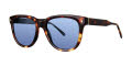 Original Penguin The Joel Sun Tortoise Sunglasses - Color Image