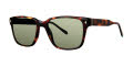 Original Penguin The Hughes Tortoise Sunglasses - Color Image
