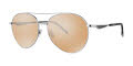 Vera Wang Eboni Silver Sunglasses - Color Image