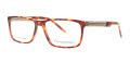 Fatheadz Momentum TS Tortoise Eyeglasses - Color Image