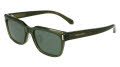 Salvatore Ferragamo SF2043SLB Transparent Green (320) Sunglasses - Color Image