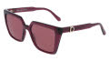 Salvatore Ferragamo SF2058SE Transparent Burgundy (612) Sunglasses - Color Image