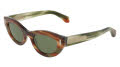 Salvatore Ferragamo SF2062SE Striped Brown Green (280) Sunglasses - Color Image