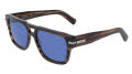 Salvatore Ferragamo SF2070S Striped Brown (216) Sunglasses - Color Image