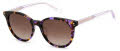 Fossil Fos 2118/S Violet Havana Gold (8Q4) Sunglasses - Color Image