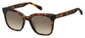 Fossil Fos 2098/G/S Dark Havana / brown gradient (0086/HA) Sunglasses - Color Image