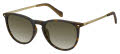 Fossil Fos 3078/S Dark Havana / brown gradient (0086/HA) Sunglasses - Color Image