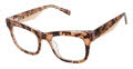 GX by Gwen Stefani GX116 Tortoise (TOR) Eyeglasses - Color Image