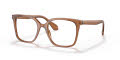 Giorgio Armani AR7217 Transparent Brown (5932) Eyeglasses - Color Image