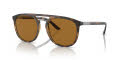 Giorgio Armani AR8118 Matte-Havana / Polar-Bronze (508983) Sunglasses - Color Image