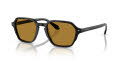 Giorgio Armani AR8220 Black / Brown (587553) Sunglasses - Color Image