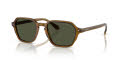 Giorgio Armani AR8220 Transparent Green / Green (617231) Sunglasses - Color Image