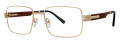 Goliath Goliath XLVII Gold Eyeglasses - Color Image