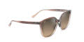 Maui Jim Good Fun - 871 Rootbeer Fade / HCL® Bronze MauiGradient® PolarizedPlus2 (HS871-01) Sunglasses - Color Image