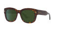 Gucci GG1110S Brown/Brown (1800D1) Sunglasses - Color Image