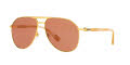 Gucci GG1220S Gold Matte / Brown (003) Sunglasses - Color Image