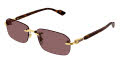 Gucci GG1221S Gold / Brown (002) Sunglasses - Color Image