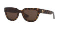 Gucci GG1578S Tortoise / Brown (4402D1) Sunglasses - Color Image