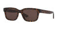 Gucci GG1583S Tortoise / Brown (4402D1) Sunglasses - Color Image