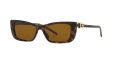 Gucci GG1681S Tortoise/Brown (4402D1) Sunglasses - Color Image