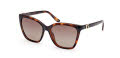 Guess GU00191 Dark Havana (52H) Sunglasses - Color Image