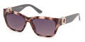 Guess GU00105 Coloured Havana (55B) Sunglasses - Color Image