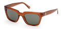Guess GU00206 Shiny Dark Brown / Shiny Dark Brown Lens (48N) Sunglasses - Color Image