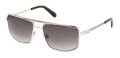 Guess GU00208 Shiny Pale Gold / Shiny Pale Gold Lens (32P) Sunglasses - Color Image