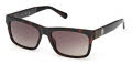 Guess GU00221 Dark Havana / Dark Havana Lens (52F) Sunglasses - Color Image