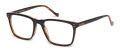 Hackett HEB 253 Black/Horn (039) Eyeglasses - Color Image