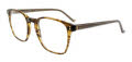 Hackett HEB 322 Brown / Amber (130) Eyeglasses - Color Image