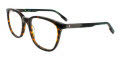 Hackett HEK 1304 Tortoise (103) Eyeglasses - Color Image