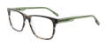 Hackett HEK 1350 Black Horn (107) Eyeglasses - Color Image
