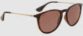 Hobie Maywood Shiny Tortoise-Gold/Copper Lens (MAYWOOD-289428) Sunglasses - Color Image
