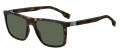 Hugo Boss BOSS 1699/S Tortoise / Green (4402J1) Sunglasses - Color Image