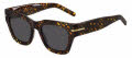 Hugo Boss BOSS 1520/S Havana Pattern (2VM) Sunglasses - Color Image