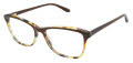 Jill Stuart JS 416 Brown (3) Eyeglasses - Color Image