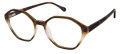 Jill Stuart JS 434 Brown Fade (1) Eyeglasses - Color Image