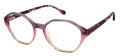 Jill Stuart JS 434 Grey Pink Fade (2) Eyeglasses - Color Image